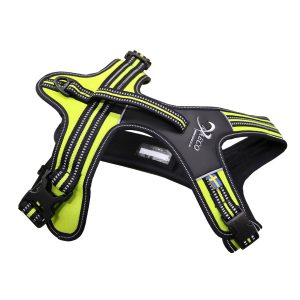 Axaeco – 4 Season Power Harness