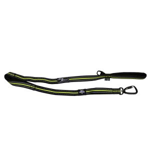 Axaeco – 4 Season Elastic Leash
