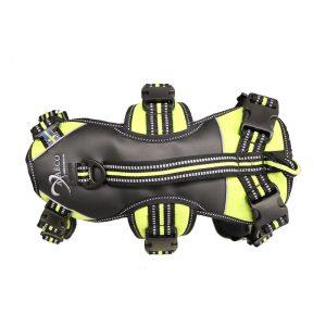 Axaeco – 4 Season Broad Peak Harness